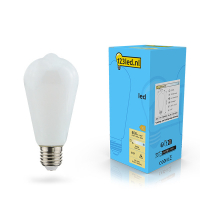 123inkt 123led E27 led-lamp edison mat dimbaar 7w (60w)  LDR02116