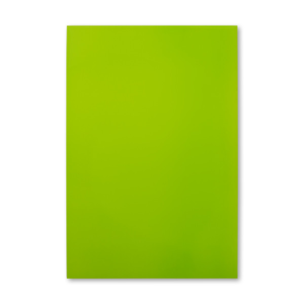 123inkt magnetisch droog uitwisbaar vel groen (20 x 30 cm)  301918 - 1