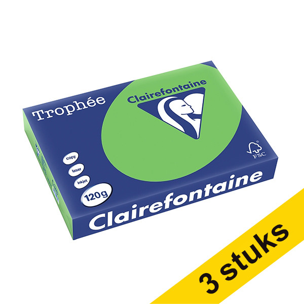 Clairefontaine Aanbieding: 3x Clairefontaine gekleurd papier grasgroen 120 grams A4 (250 vel)  340043 - 1