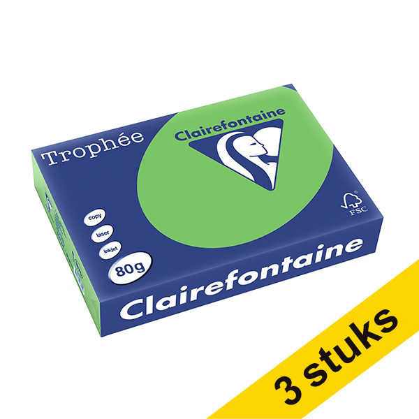 Clairefontaine Aanbieding: 3x Clairefontaine gekleurd papier grasgroen 80 grams A4 (500 vel)  340031 - 1