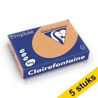 Aanbieding: 5x Clairefontaine gekleurd papier caramel 80 grams A4 (500 vel)