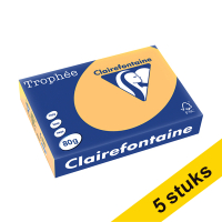 Aanbieding: 5x Clairefontaine gekleurd papier goudgeel 80 grams A4 (500 vel)