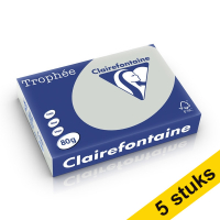 Aanbieding: 5x Clairefontaine gekleurd papier lichtgrijs 80 grams A4 (500 vel)