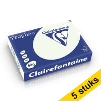 Aanbieding: 5x Clairefontaine gekleurd papier lichtgroen 80 grams A4 (500 vel)