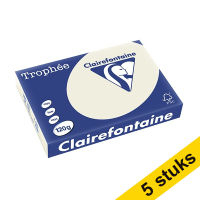 Aanbieding: 5x Clairefontaine gekleurd papier parelgrijs 120 grams A4 (250 vel)