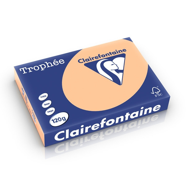 Clairefontaine gekleurd papier abrikoos 120 grams A4 (250 vel) 1275PC 250197 - 1