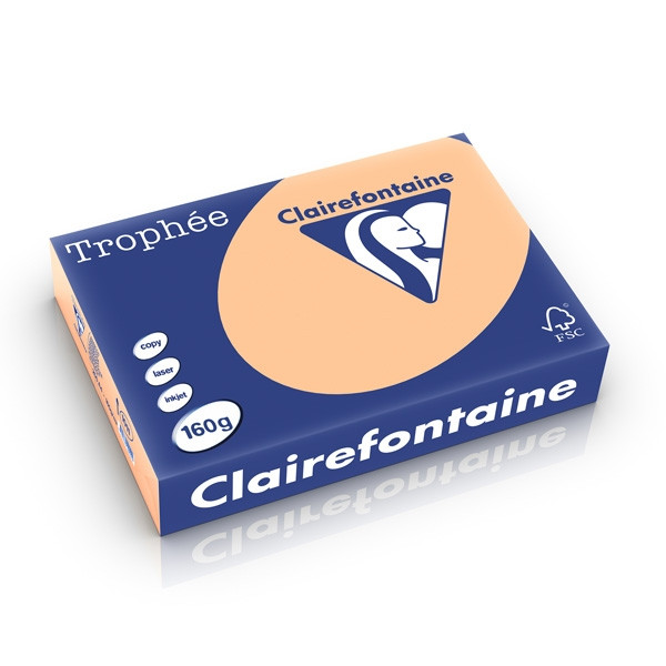 Clairefontaine gekleurd papier abrikoos 160 grams A4 (250 vel) 1011PC 250237 - 1