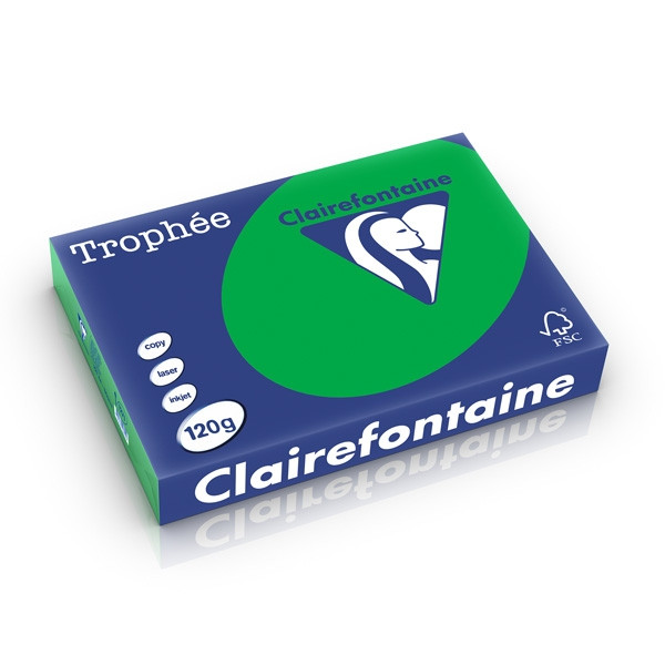 Clairefontaine gekleurd papier biljartgroen 120 grams A4 (250 vel) 1271PC 250212 - 1