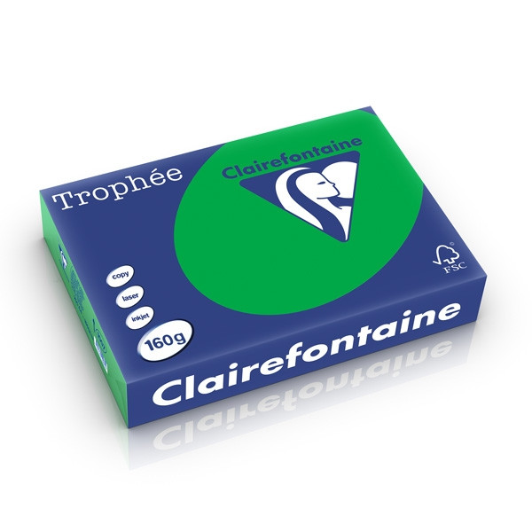 Clairefontaine gekleurd papier biljartgroen 160 grams A4 (250 vel) 1007PC 250265 - 1