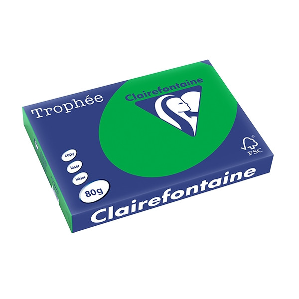 Clairefontaine gekleurd papier biljartgroen 80 grams A3 (500 vel) 1992PC 250123 - 1