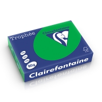 Clairefontaine gekleurd papier biljartgroen 80 grams A4 (500 vel) 1991PC 250033