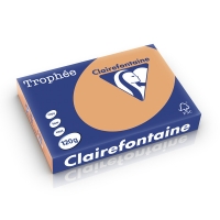 Clairefontaine gekleurd papier caramel 120 grams A4 (250 vel) 250196 250196