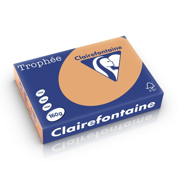 Clairefontaine gekleurd papier caramel 160 grams A4 (250 vel) 1102PC 250235 - 1