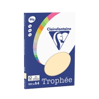 Clairefontaine gekleurd papier chamois/gems 80 grams A4 (100 vel) 4106C 250040