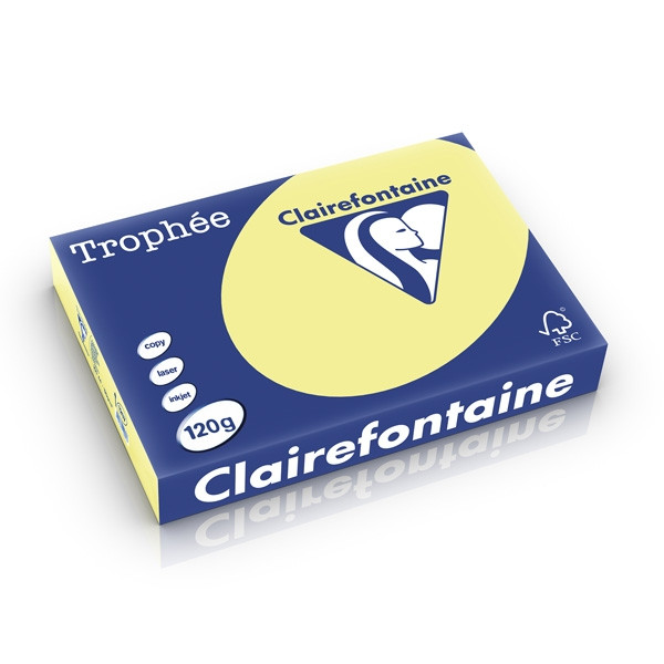 Clairefontaine gekleurd papier citroengeel 120 grams A4 (250 vel) 1207PC 250200 - 1
