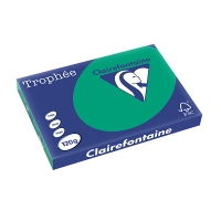 Clairefontaine gekleurd papier dennengroen 120 grams A3 (250 vel) 1384PC 250142