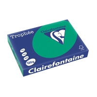 Clairefontaine gekleurd papier dennengroen 120 grams A4 (250 vel) 1224PC 250086