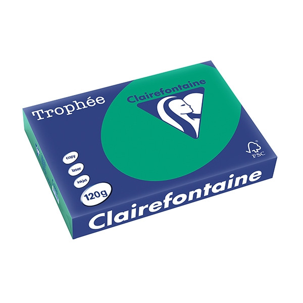 Clairefontaine gekleurd papier dennengroen 120 grams A4 (250 vel) 250086 250086 - 1