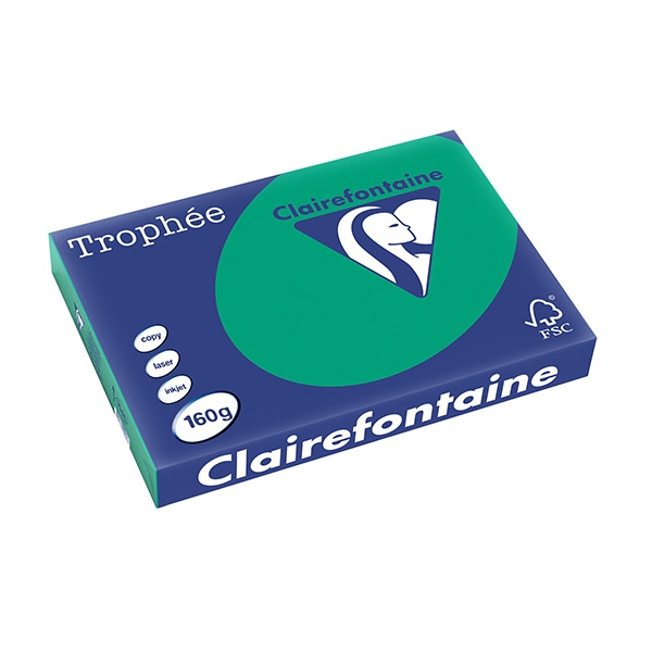Clairefontaine gekleurd papier dennengroen 160 grams A3 (250 vel) 1046PC 250160 - 1