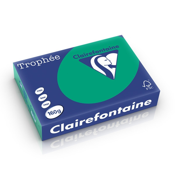 Clairefontaine gekleurd papier dennengroen 160 grams A4 (250 vel) 1019PC 250266 - 1