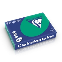 Clairefontaine gekleurd papier dennengroen 160 grams A4 (250 vel) 1019PC 250266