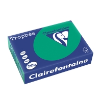 Clairefontaine gekleurd papier dennengroen 210 grams A4 (250 vel) 2213PC 250105