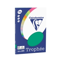 Clairefontaine gekleurd papier dennengroen 80 grams A4 (100 vel) 4123C 250044