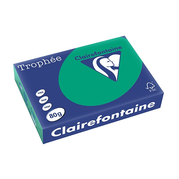 Clairefontaine gekleurd papier dennengroen 80 grams A4 (500 vel) 1783PC 250062 - 1