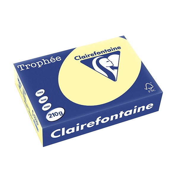 Clairefontaine gekleurd papier geel 210 grams A4 (250 vel) 2220PC 250091 - 1