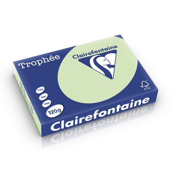 Clairefontaine gekleurd papier golfgroen 120 grams A4 (250 vel) 1215PC 250207 - 1