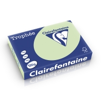 Clairefontaine gekleurd papier golfgroen 120 grams A4 (250 vel) 250207 250207