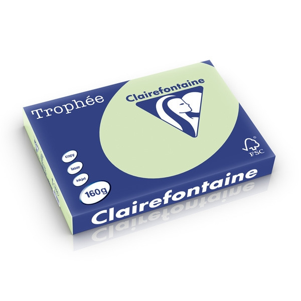 Clairefontaine gekleurd papier golfgroen 160 grams A3 (250 vel) 1114PC 250280 - 1