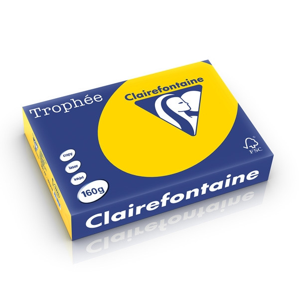 Clairefontaine gekleurd papier goudgeel 160 grams A4 (250 vel) 1103PC 250239 - 1