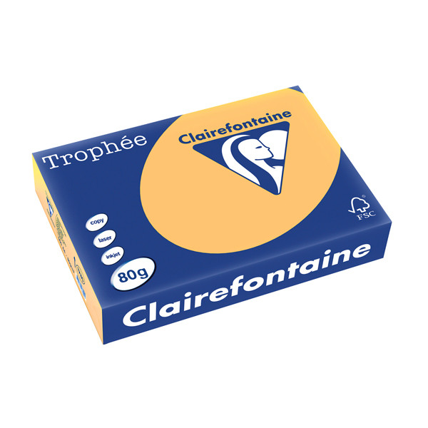 Clairefontaine gekleurd papier goudgeel 80 grams A4 (500 vel) 1780PC 250165 - 1