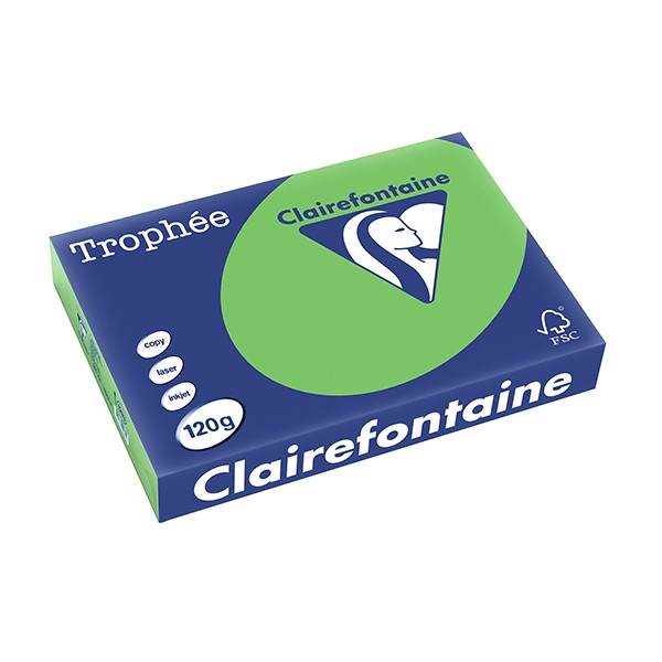 Clairefontaine gekleurd papier grasgroen 120 grams A4 (250 vel) 1293PC 250085 - 1