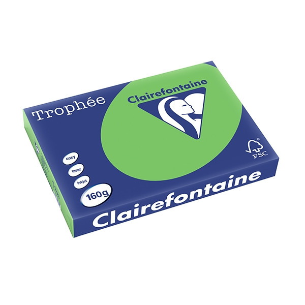 Clairefontaine gekleurd papier grasgroen 160 grams A3 (250 vel) 1035PC 250159 - 1