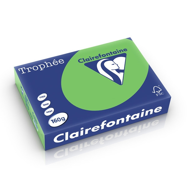 Clairefontaine gekleurd papier grasgroen 160 grams A4 (250 vel) 1025PC 250264 - 1
