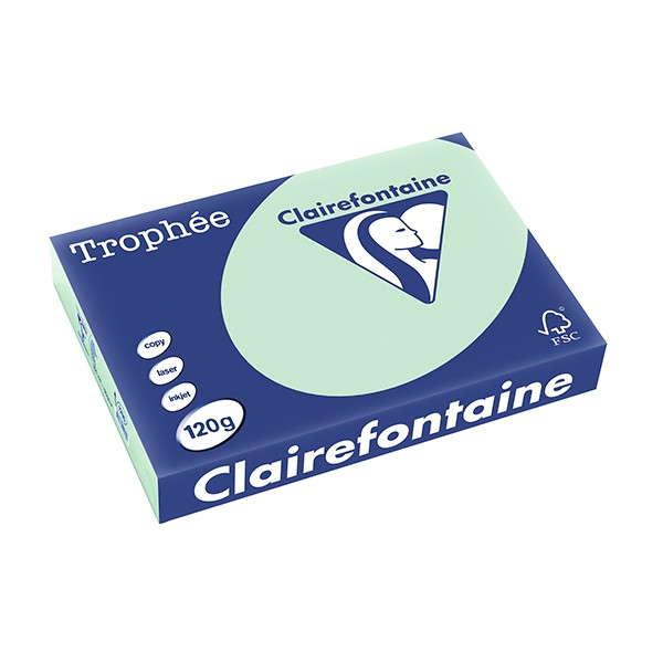 Clairefontaine gekleurd papier groen 120 grams A4 (250 vel) 1216PC 250078 - 1