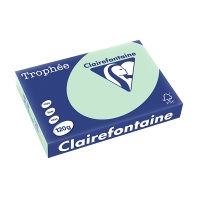 Clairefontaine gekleurd papier groen 120 grams A4 (250 vel) 1216PC 250078