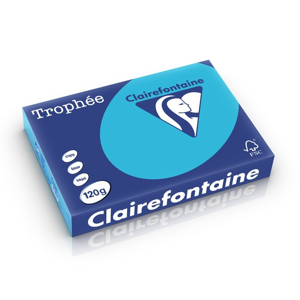 Clairefontaine gekleurd papier koningsblauw 120 grams A4 (250 vel) 1247PC 250210 - 1