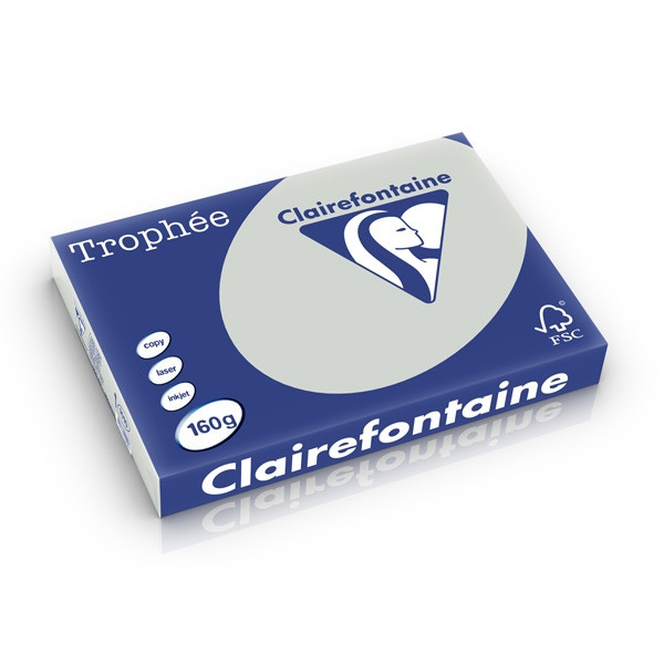 Clairefontaine gekleurd papier lichtgrijs 160 grams A3 (250 vel) 1010PC 250268 - 1