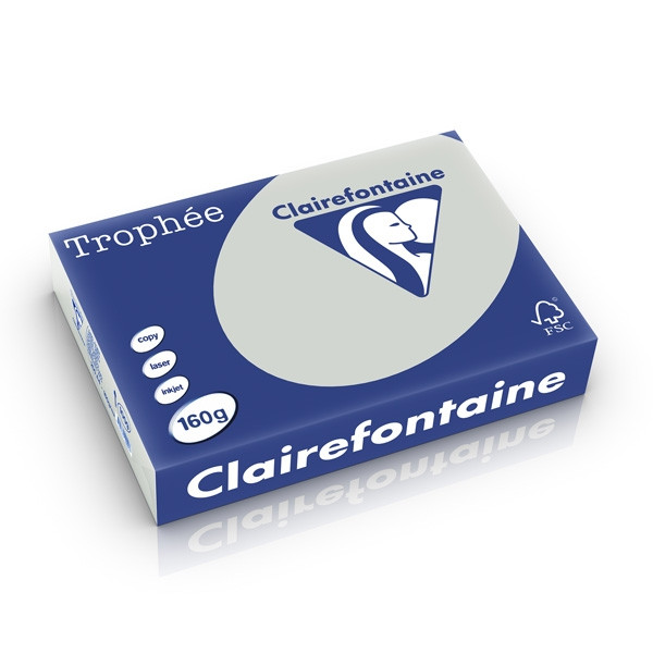 Clairefontaine gekleurd papier lichtgrijs 160 grams A4 (250 vel) 1009PC 250232 - 1