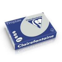 Clairefontaine gekleurd papier lichtgrijs 160 grams A4 (250 vel) 1009PC 250232