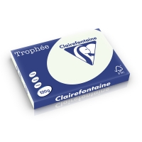 Clairefontaine gekleurd papier lichtgroen 120 grams A3 (250 vel) 1358PC 250226