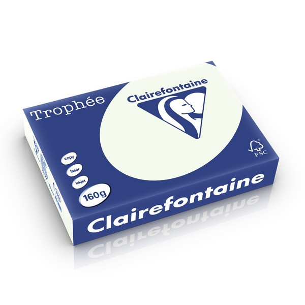 Clairefontaine gekleurd papier lichtgroen 160 grams A4 (250 vel) 1051PC 250253 - 1