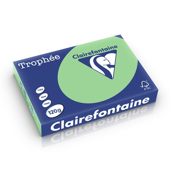 Clairefontaine gekleurd papier natuurgroen 120 grams A4 (250 vel) 1228PC 250206 - 1