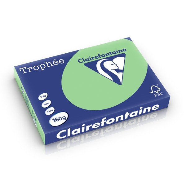 Clairefontaine gekleurd papier natuurgroen 160 grams A3 (250 vel) 1119PC 250279 - 1