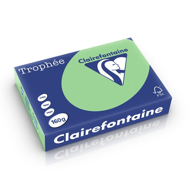 Clairefontaine gekleurd papier natuurgroen 160 grams A4 (250 vel) 1120PC 250250 - 1