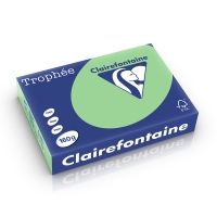 Clairefontaine gekleurd papier natuurgroen 160 grams A4 (250 vel) 1120PC 250250
