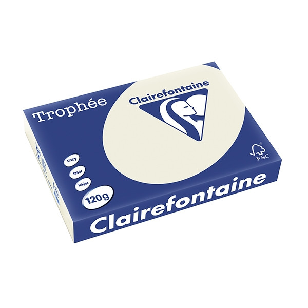 Clairefontaine gekleurd papier parelgrijs 120 grams A4 (250 vel) 1201PC 250070 - 1